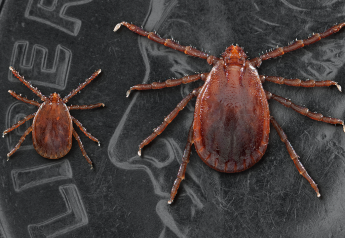 Asian Longhorned Tick Discovered in Northern Missouri
