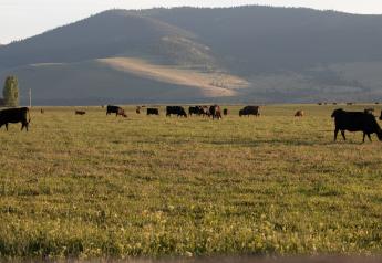 High Desert to The Hill - A Discussion of Public Grazing Regulatory Changes 
