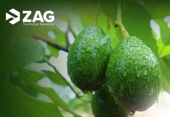 Sponsored - ZAG provides IT cost-savings and stability to produce industry leader Index Fresh