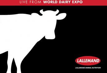 Lallemand Animal Nutrition - Live From World Dairy Expo