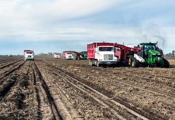 Red River Valley offers rich environment for potato growing