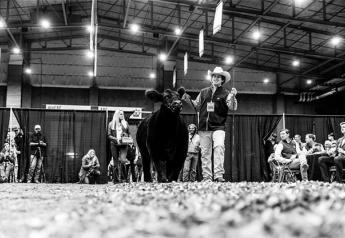 American Royal’s 18-day Livestock Show Comes to a Close 