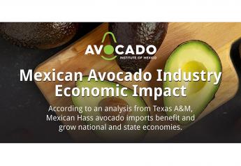 Mexican avocado imports contribute record $11.2B to U.S. economy, finds new report