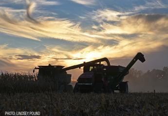 Latin America Boosts Imports of U.S. Corn