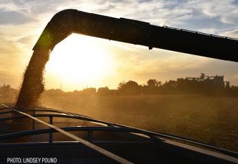 IGC Raises Global Corn Production Forecast