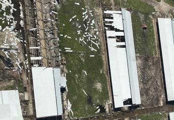 Hurricane Ian's Deadly Punch to One Florida Dairy