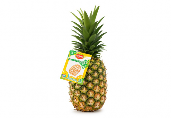  Fresh Del Monte Produce launches large-size pineapple branded Grandissimo Gold