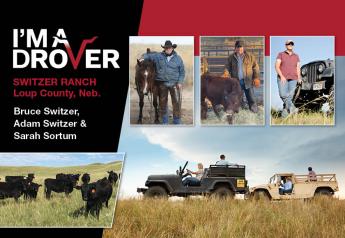 From Adversity to Diversity: A Ranch's Tough Decisions Led To Opportunity