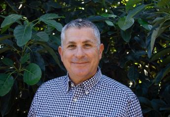 Ken Melban promoted at California Avocado Commission