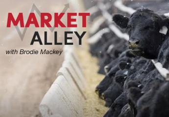 Mackey: Packers Seek Higher Grading Cattle