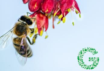 GLOBALG.A.P. becomes third-party certification for new Walmart U.S. pollinator health commitments