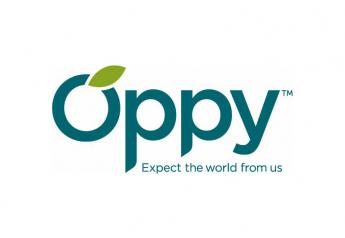 Oppy ramps up Cotton Candy grape volume