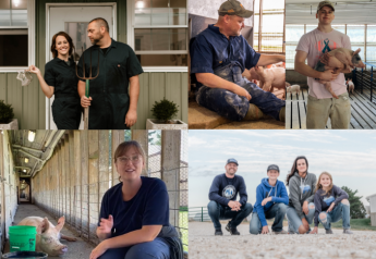 Lead the Conversation: 5 Tips for Sharing Your Pig Farming Story