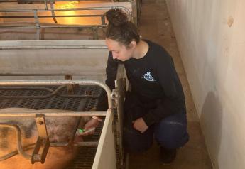 Infrared Technology Can Save Time and Detect Sick Sows Earlier