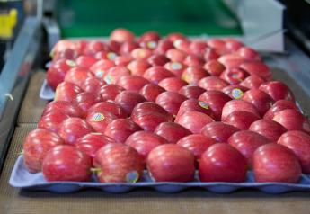 U.S. fresh apple holdings up on Nov. 1