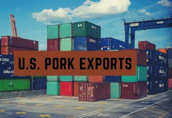U.S. Pork Exports Top Year-Ago Totals for First Time in 2022
