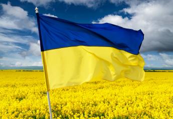 First-Hand Accounts of War’s Impact on Ukrainian Agriculture