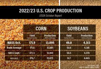 Did the Yield Drops in USDA's Reports Put a Floor Under Grain Prices? 