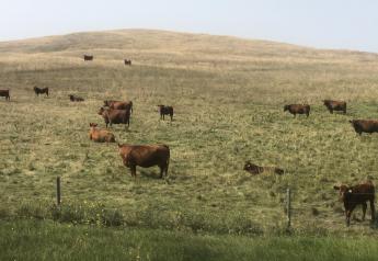 Fall Grazing Management Influences Forage Production