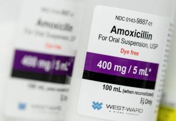 Veterinarians on Alert Due to Amoxicillin Shortage