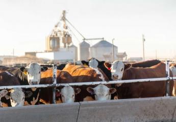 2023 Hereford Feedout Program Accepting Enrollments