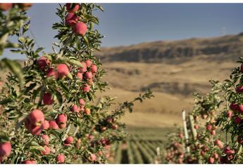 USDA: Apple production rises, cranberry crop down