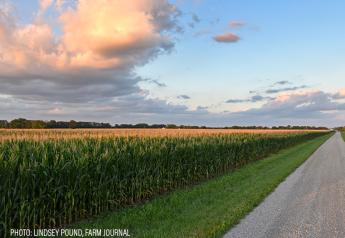 Iowa Cropland Edges 1% Higher