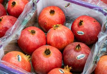JVI Imports anticipates strong volumes of Wonderful pomegranates