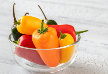 EarthBlend offers bagged mini sweet bell peppers