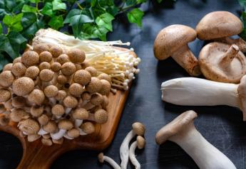 Mushrooms offer consumers health benefits
