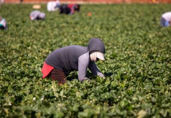 USDA seeks application grant reviewers for farm labor pilot