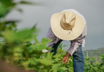 Farmworker wages up 7% from last year, according to USDA Farm Labor Survey 