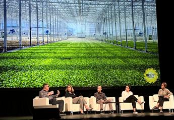 Controlled Environment Agriculture poised to scale up, panelists say