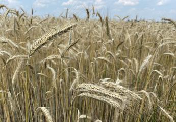 Small Grains Make a Big Difference: Progressive Methods Can Leave a Lasting Legacy
