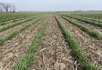 Learning by Doing: Find out how cover crops, cost share practices can add value to your farm.