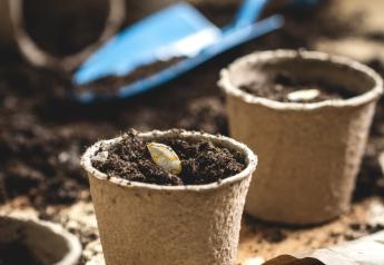 USDA’s National Organic Program adds paper pots to approved substance list 