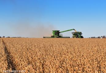 Bushel Bump: USDA Shows a Slight Increase for Corn, Soybean Yields