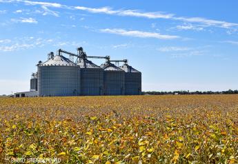 Drought, Biodiesel Impacting Soybean Oil Prices and Exports