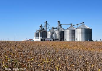 An Important Wildcard In The 2024 Grain Storage Outlook 