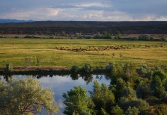 Myrin Ranch Receives Utah Leopold Conservation Award 