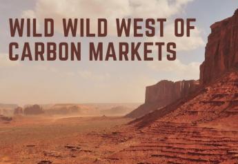 The Wild Wild West of Carbon Markets: Where Do Swine Genetics Fit?