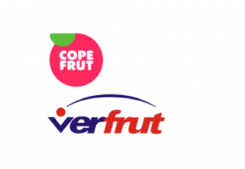 Copefrut and Verfrut partner to advance sales in China