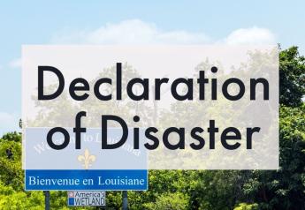 Louisiana asks USDA for disaster declaration