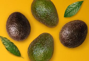 Study reveals change in peak avocado sales season