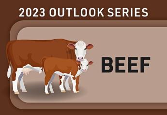 Bullish 2023 Cattle Outlook