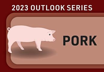 2023 Pork Outlook: A Recipe for Fireworks? 