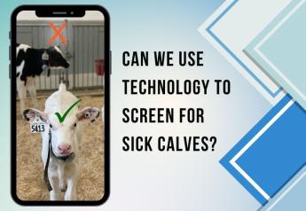 Can We Use Technology to Screen for Sick Calves?