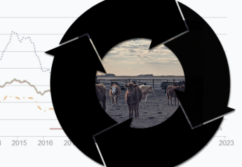 The Cattle Cycle: What You Need to Know Today