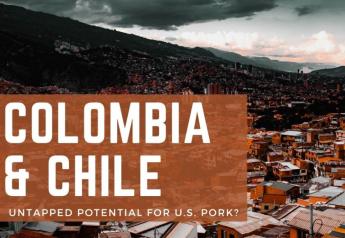 Colombia and Chile Offer Untapped Potential for U.S. Pork Industry