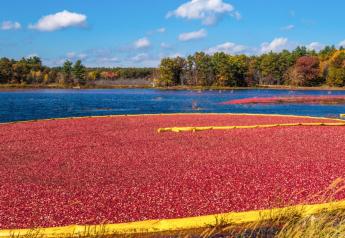 USDA looks to end cranberry marketing order